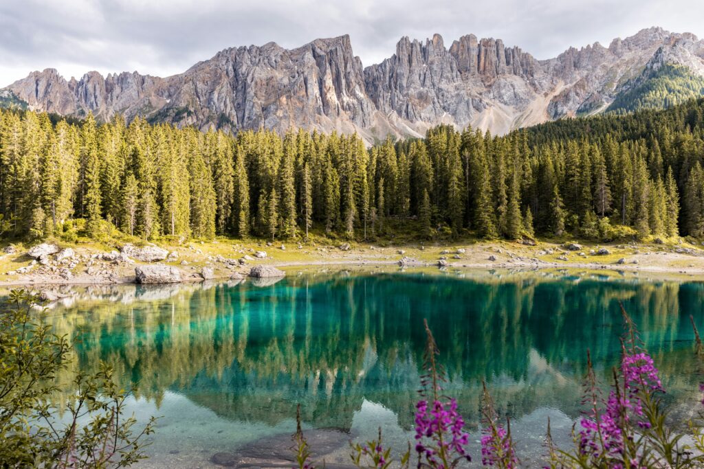 lago violeta verde
