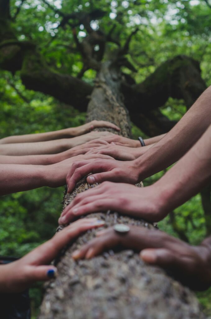 Psicologia ambiental